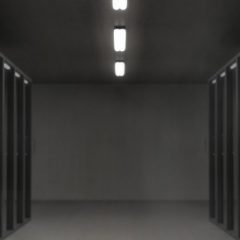 Dedicated vs. Shared IPs: What Option is Right for You?